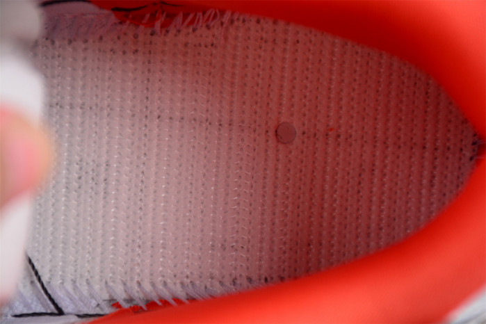 nike sb dunk low staple nyc pigeon 304292-011