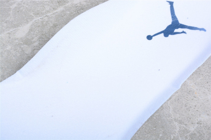 jordan 6 retro midnight navy (2022) ct8529-141